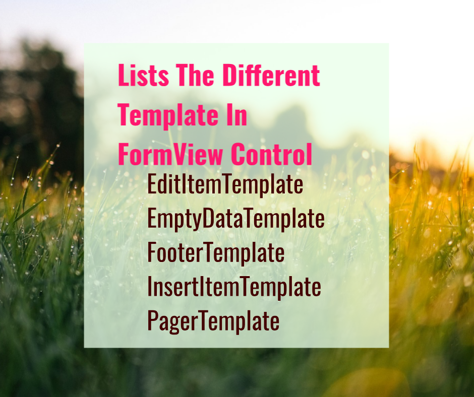 Lists The Different Template In Formveiw Control Asp Codelack