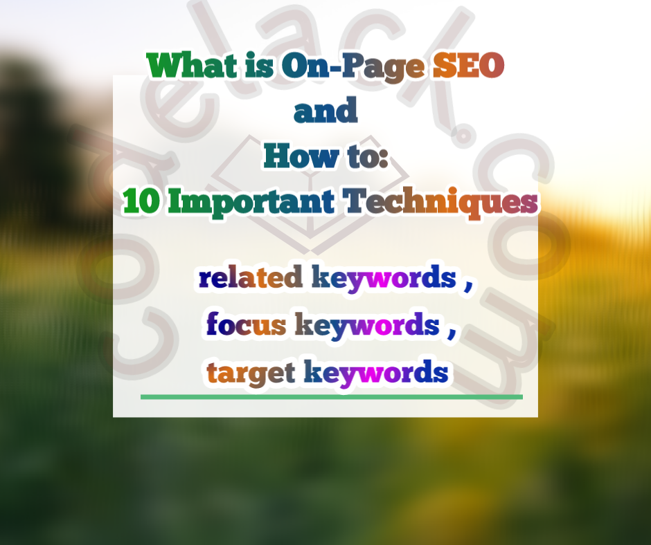 What is on page seo